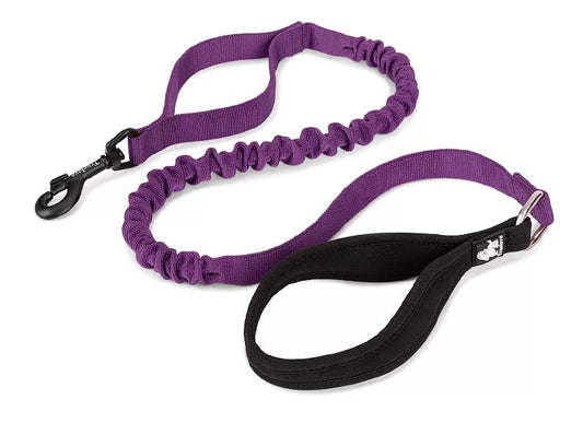 Correa elastica para perro